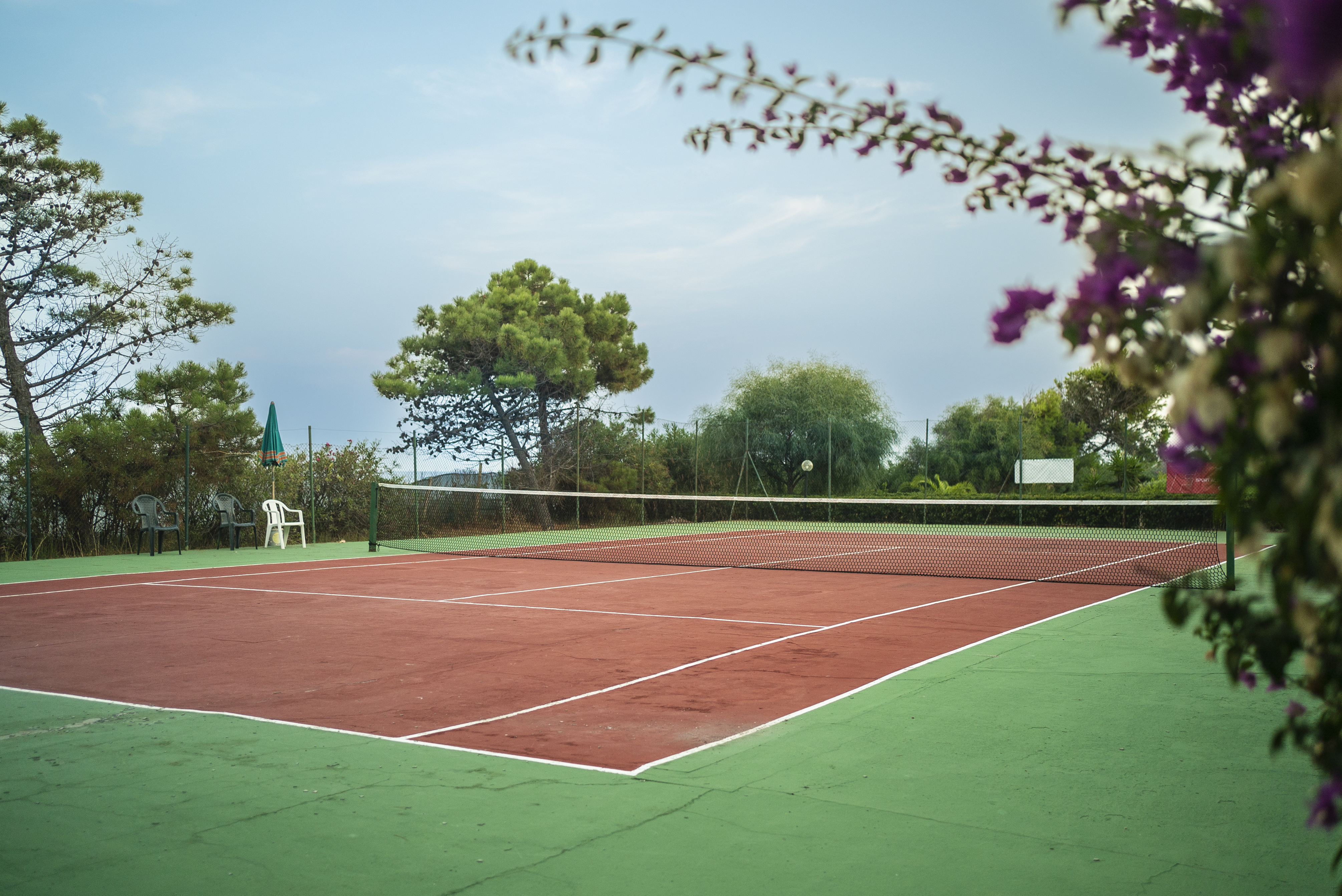 Animation & Sports